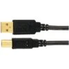 Axis A-Male To B-Male USB 2.0 Cable (6ft)