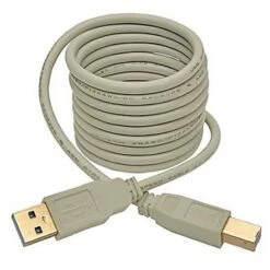 Tripp Lite U022 6' USB 2.0 Type-A To Type-B Male/Male Data Transfer Cable, Beige