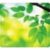 Fellowes Recycled Mouse Pad, Branch Leaves (5903801)