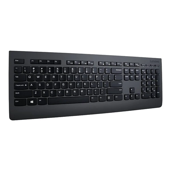 Lenovo Professional Combo Ergonomic Keyboard And Mouse, Black (4X30H56796) - Image 2
